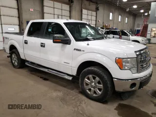 2014 Ford F-150 XL with VIN 1FTFW1ET6EKF95577, listed as a Copart auction lot 51749905 with 266,361 mi miles and Clean Title. Bid and sale history available at carsss.com. Image 4.