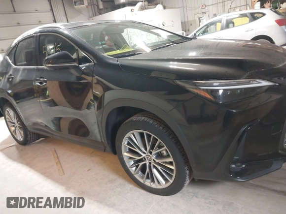 2023 Lexus NX with VIN 2T2HGCEZ2PC024528, listed as a IAAI auction lot 41995345 with 12,772 mi miles. Bid and sale history available at carsss.com. Image 13.