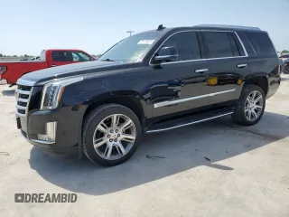 2019 Cadillac Escalade Luxury with VIN 1GYS3BKJ5KR172213, listed as a Copart auction lot 53128625 with 84,367 mi miles and Clean title. Bid and sale history available at DreamBid. Image 1.