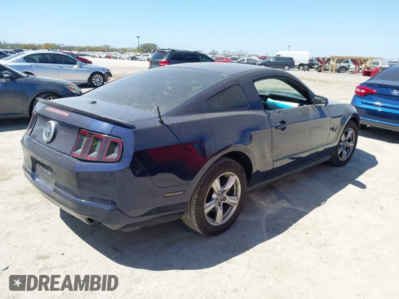 2012 Ford Mustang Premium z VIN 1ZVBP8AM8C5230118, wystawiony jako IAAI lot #41783944 z przebiegiem 113 851 mil mil oraz . Historia ofert i sprzedaży dostępna na DreamBid. Obrazek 4.