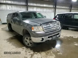 2006 Ford F-150 XLT with VIN 1FTPW14V16FB66946, listed as a Copart auction lot 44503975 with 236,637 mi miles and Salvage Title. Bid and sale history available at carsss.com. Image 12.