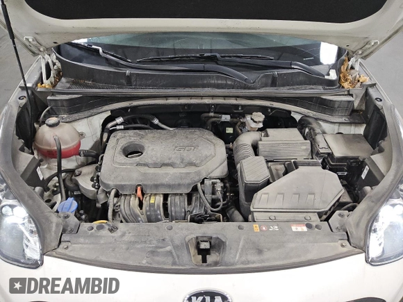 2021 Kia Sportage LX with VIN KNDPMCAC5M7906929, listed as a Copart auction lot 48484915 with 81,764 mi miles and Clean Title. Bid and sale history available at DreamBid. Image 12.
