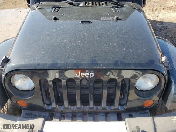 2013 Jeep Wrangler Unlimited Sahara with VIN 1C4HJWEG5DL585896, listed as a Copart auction lot 52007635 with 101,465 mi miles and Salvage Title. Bid and sale history available at carsss.com. Image 13.