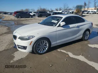 2016 BMW 2 Series 228i xDrive with VIN WBA1G9C55GV599175, listed as a Copart auction lot 44058195 with 106,544 mi miles and Salvage Title. Bid and sale history available at carsss.com. Image 1.