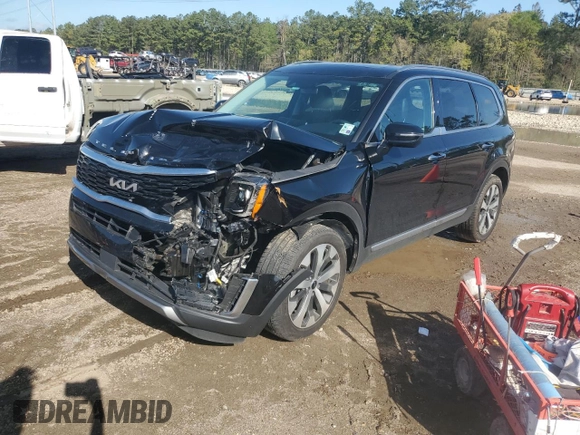 2022 Kia Telluride S with VIN 5XYP64HCXNG255596, listed as a Copart auction lot 49407855 with Not provided miles and Salvage title. Bid and sale history available at DreamBid. Image 1.