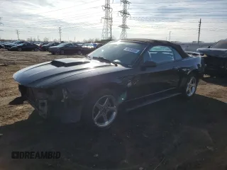 2004 Ford Mustang GT Deluxe z VIN 1FAFP45X34F199850, wystawiony jako Copart lot #48368935 z przebiegiem 63 014 mil mil oraz Szkody całkowita. Historia ofert i sprzedaży dostępna na DreamBid. Obrazek 1.