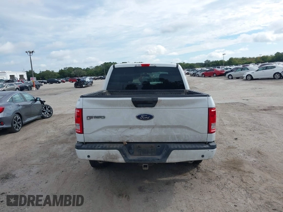 2017 Ford F-150 XL with VIN 1FTEW1CF6HFA51201, listed as a IAAI auction lot 38205513 with 313,459 mi miles. Bid and sale history available at carsss.com. Image 17.