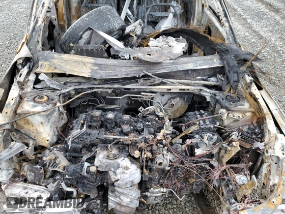 2024 Honda Civic Si with VIN 2HGFE1E56RH472283, listed as a Copart auction lot 45181145 with Not provided miles and Non repairable. Bid and sale history available at DreamBid. Image 11.
