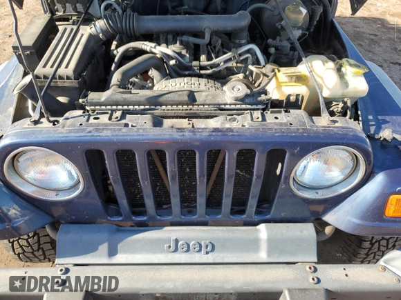 2003 Jeep Wrangler X with VIN 1J4FA39S43P338732, listed as a Copart auction lot 56315495 with 135,480 mi miles and Salvage title. Bid and sale history available at DreamBid. Image 11.
