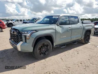 2022 Toyota Tundra Limited with VIN 5TFJA5DBXNX025819, listed as a Copart auction lot 62866275 with 48,619 mi miles and Salvage title. Bid and sale history available at DreamBid. Image 1.