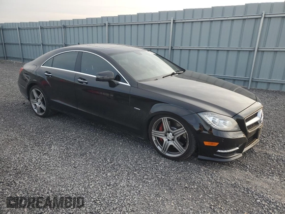 2012 Mercedes-Benz CLS-Class CLS 550 with VIN WDDLJ9BB0CA025546, listed as a Copart auction lot 78034204 with 220,475 mi miles and Clean Title. Bid and sale history available at carsss.com. Image 4.