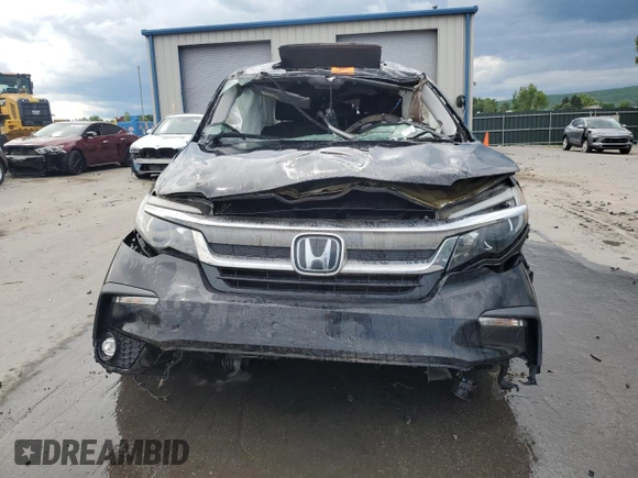 2019 Honda Pilot EX-L with VIN 5FNYF6H57KB062648, listed as a Copart auction lot 57566015 with Not provided miles and Salvage title. Bid and sale history available at DreamBid. Image 5.
