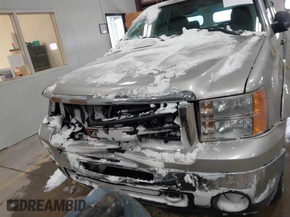 2009 GMC Sierra 1500 SLE with VIN 2GTEK29J291113067, listed as a IAAI auction lot 41327805 with 196,055 mi miles. Bid and sale history available at carsss.com. Image 6.