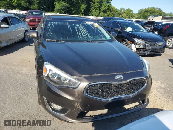 2014 Kia Cadenza Premium with VIN KNALN4D71E5133791, listed as a Copart auction lot 66783294 with 0 mi miles and Salvage Title. Bid and sale history available at carsss.com. Image 5.