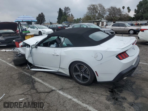 2024 Ford Mustang EcoBoost with VIN 1FAGP8UH5R5134002, listed as a Copart auction lot 43641575 with 0 mi miles and Non Repairable. Bid and sale history available at carsss.com. Image 2.