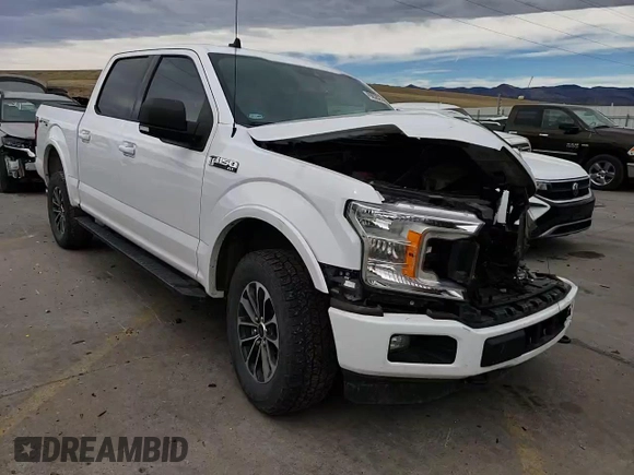 2019 Ford F-150 XL with VIN 1FTEW1E4XKKE81484, listed as a Copart auction lot 49852825 with 82,035 mi miles and Salvage Title. Bid and sale history available at carsss.com. Image 11.