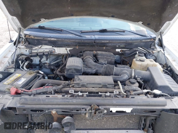 2010 Ford F-150 XL with VIN 1FTFW1EV5AFB47433, listed as a IAAI auction lot 42637021 with 178,117 mi miles and . Bid and sale history available at DreamBid. Image 10.