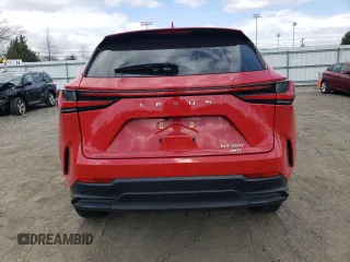 2023 Lexus NX with VIN 2T2GGCEZ3PC029040, listed as a Copart auction lot 50768965 with 20,998 mi miles and Salvage Title. Bid and sale history available at carsss.com. Image 6.