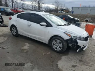 2018 Kia Forte LX with VIN 3KPFL4A76JE260688, listed as a Copart auction lot 44313295 with 123,884 mi miles and Salvage Title. Bid and sale history available at carsss.com. Image 4.