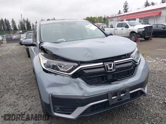2021 Honda CR-V EX-L with VIN 2HKRW2H81MH646331, listed as a IAAI auction lot 42139416 with 24,599 mi miles and . Bid and sale history available at DreamBid. Image 6.