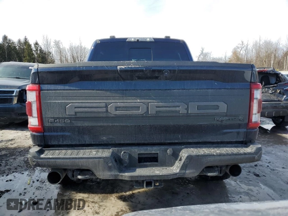 2023 Ford F-150 Raptor with VIN 1FTFW1RG0PFD16861, listed as a Copart auction lot 45338035 with 19,454 mi miles and Salvage Title. Bid and sale history available at DreamBid. Image 6.