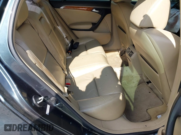 2005 Acura TL with VIN 19UUA66265A038281, listed as a IAAI auction lot 41520682 with 244,290 mi miles. Bid and sale history available at carsss.com. Image 8.