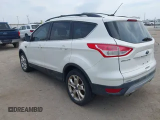 2014 Ford Escape SE with VIN 1FMCU9GX9EUB15944, listed as a IAAI auction lot 42110269 with 120,297 mi miles and . Bid and sale history available at DreamBid. Image 3.