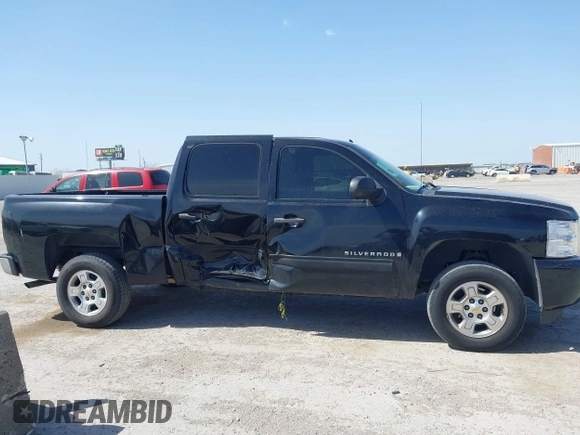 2009 Chevrolet Silverado 1500 LT with VIN 3GCEC23J09G274224, listed as a IAAI auction lot 41809059 with 142,349 mi miles. Bid and sale history available at carsss.com. Image 6.