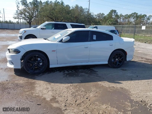 2019 Dodge Charger GT with VIN 2C3CDXHG2KH527181, listed as a IAAI auction lot 41501149 with NaN miles. Bid and sale history available at carsss.com. Image 14.