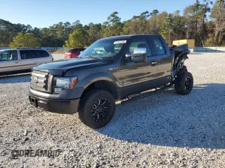 2009 Ford F-150 XLT with VIN 1FTRX12V59FA72131, listed as a Copart auction lot 87532295 with 51,118 mi miles and Salvage title. Bid and sale history available at DreamBid. Image 1.