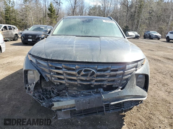 2024 Hyundai Tucson SEL Convenience with VIN KM8JCCD1XRU162395, listed as a Copart auction lot 48345565 with 13,764 mi miles and Salvage Title. Bid and sale history available at carsss.com. Image 5.