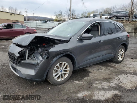2020 Ford Escape SE with VIN 1FMCU9G6XLUA04646, listed as a Copart auction lot 53264885 with 80,517 mi miles and Salvage Title. Bid and sale history available at DreamBid. Image 1.