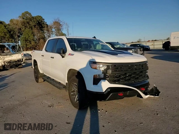 2024 Chevrolet Silverado 1500 Custom Trail Boss with VIN 3GCUDCED9RG110122, listed as a Copart auction lot 87020134 with 9,159 mi miles and Salvage Title. Bid and sale history available at carsss.com. Image 11.
