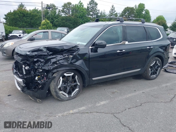 2024 Kia Telluride S with VIN 5XYP6DGC1RG528397, listed as a IAAI auction lot 42377741 with 9,572 mi miles and . Bid and sale history available at DreamBid. Image 18.