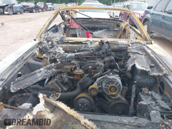 1999 Ford Mustang with VIN 1FAFP4448XF115520, listed as a IAAI auction lot 42602755 with Not provided miles and . Bid and sale history available at DreamBid. Image 10.