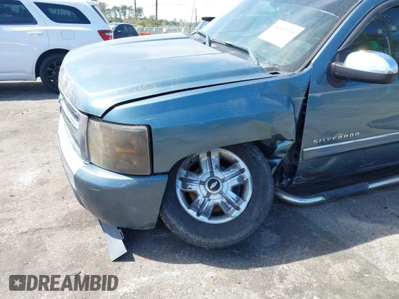 2009 Chevrolet Silverado 1500 LT with VIN 3GCEC23029G281537, listed as a IAAI auction lot 41805339 with 217,517 mi miles. Bid and sale history available at carsss.com. Image 6.