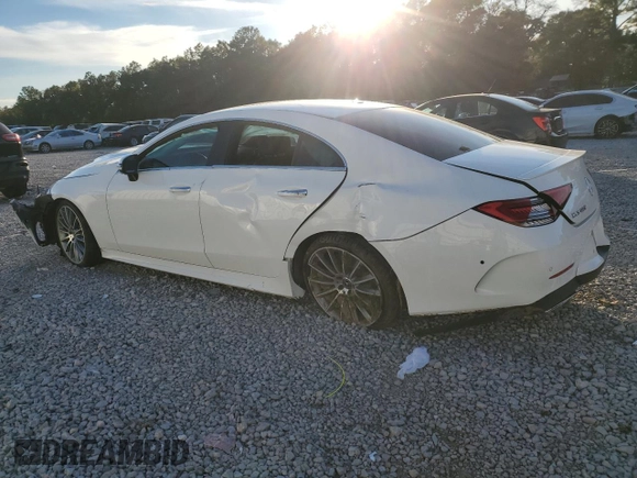 2020 Mercedes-Benz CLS with VIN WDD2J5JBXLA049987, listed as a Copart auction lot 41388795 with 0 mi miles and Salvage Title. Bid and sale history available at carsss.com. Image 2.