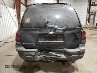 2006 Chevrolet TrailBlazer LS with VIN 1GNET16S666146766, listed as a Copart auction lot 46708035 with 138,111 mi miles and Salvage Title. Bid and sale history available at DreamBid. Image 6.