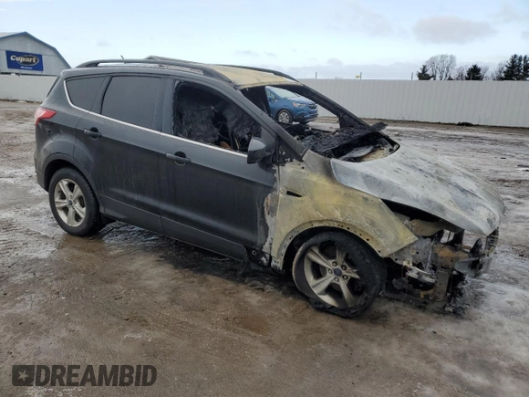 2014 Ford Escape SE with VIN 1FMCU9GX0EUC44297, listed as a Copart auction lot 43003935 with Not Provided miles and Non Repairable. Bid and sale history available at DreamBid. Image 4.