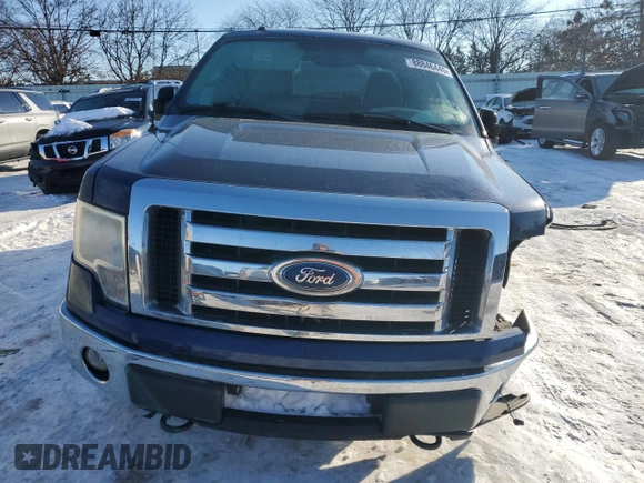 2010 Ford F-150 XL with VIN 1FTFX1EV5AFA07606, listed as a Copart auction lot 88846445 with 260,949 mi miles and Salvage Title. Bid and sale history available at carsss.com. Image 5.