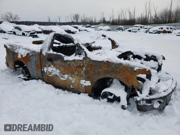 2013 Ford F-150 XL with VIN 1FTMF1EF4DFD46915, listed as a Copart auction lot 88067555 with Not provided miles and Salvage title. Bid and sale history available at DreamBid. Image 4.