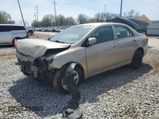 2010 Toyota Corolla with VIN 1NXBU4EEXAZ324233, listed as a Copart auction lot 53998685 with 0 mi miles and Salvage Title. Bid and sale history available at carsss.com. Image 1.
