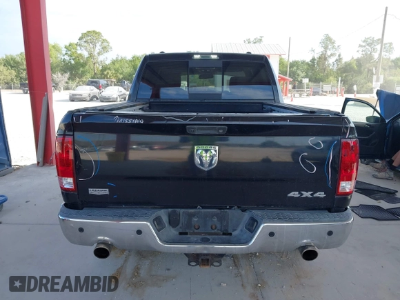 2009 Dodge 1500 SLT with VIN 1D3HV13T69J519018, listed as a IAAI auction lot 42108182 with 210,733 mi miles and . Bid and sale history available at carsss.com. Image 17.