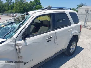 2010 Ford Escape Hybrid with VIN 1FMCU4K35AKB02976, listed as a IAAI auction lot 42691500 with Not provided miles and . Bid and sale history available at DreamBid. Image 14.
