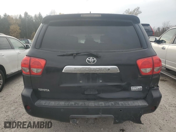 2010 Toyota Sequoia Ltd with VIN 5TDKY5G10AS030286, listed as a Copart auction lot 77495294 with 0 mi miles and Salvage Title. Bid and sale history available at carsss.com. Image 6.
