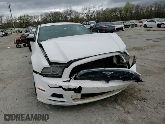 2013 Ford Mustang V6 with VIN 1ZVBP8AM4D5262212, listed as a Copart auction lot 51121685 with Not Provided miles and Salvage Title. Bid and sale history available at carsss.com. Image 11.
