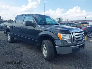 2010 Ford F-150 XL z VIN 1FTEW1E85AFC37042, wystawiony jako IAAI lot #42629730 z przebiegiem 195 760 mil mil oraz . Historia ofert i sprzedaży dostępna na DreamBid. Obrazek 1.