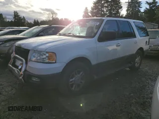 2005 Ford Expedition Special Service with VIN 1FMPU16575LA53081, listed as a Copart auction lot 41520455 with 185,289 mi miles and Salvage Title. Bid and sale history available at carsss.com. Image 1.