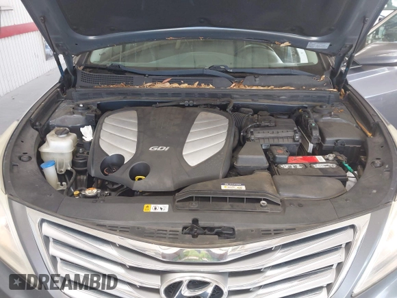 2013 Hyundai Azera with VIN KMHFH4JG3DA213459, listed as a IAAI auction lot 42642239 with 130,195 mi miles and . Bid and sale history available at DreamBid. Image 10.