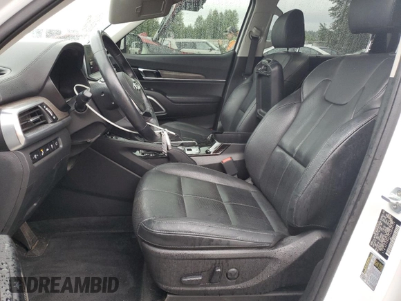 2020 Kia Telluride EX with VIN 5XYP3DHC2LG046777, listed as a Copart auction lot 57917025 with 66,494 mi miles and Salvage title. Bid and sale history available at DreamBid. Image 7.